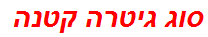 סוג גיטרה קטנה