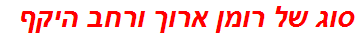 סוג של רומן ארוך ורחב היקף