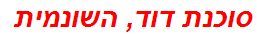 סוכנת דוד, השונמית