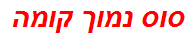 סוס נמוך קומה