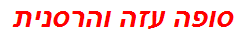 סופה עזה והרסנית