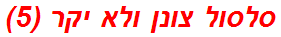 סלסול צונן ולא יקר (5)