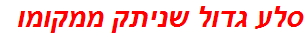 סלע גדול שניתק ממקומו