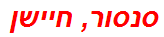 סנסור, חיישן