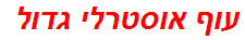 עוף אוסטרלי גדול