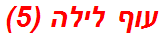עוף לילה (5)