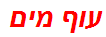 עוף מים