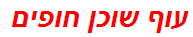 עוף שוכן חופים