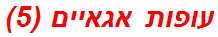 עופות אגאיים (5)
