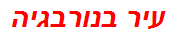 עיר בנורבגיה