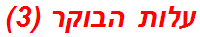 עלות הבוקר (3)