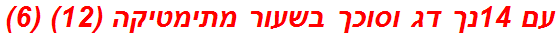 עם 14נך דג וסוכך בשעור מתימטיקה (12) (6)