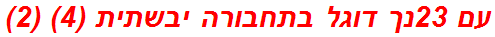 עם 23נך דוגל בתחבורה יבשתית (4) (2)