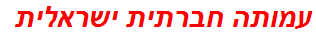 עמותה חברתית ישראלית