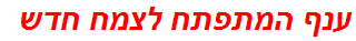 ענף המתפתח לצמח חדש