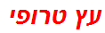 עץ טרופי