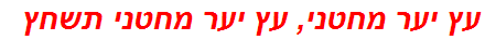 עץ יער מחטני, עץ יער מחטני תשחץ