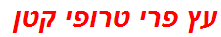 עץ פרי טרופי קטן