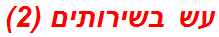 עש בשירותים (2)