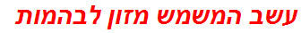 עשב המשמש מזון לבהמות