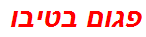 פגום בטיבו