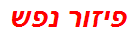 פיזור נפש