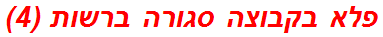 פלא בקבוצה סגורה ברשות (4)