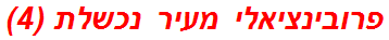 פרובינציאלי מעיר נכשלת (4)