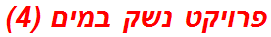 פרויקט נשק במים (4)