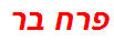 פרח בר