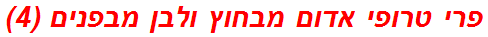 פרי טרופי אדום מבחוץ ולבן מבפנים (4)