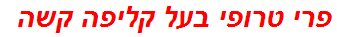 פרי טרופי בעל קליפה קשה