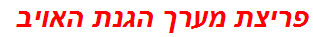 פריצת מערך הגנת האויב