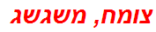 צומח, משגשג