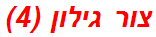 צור גילון (4)