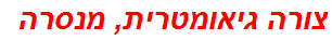 צורה גיאומטרית, מנסרה