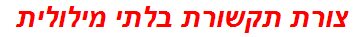 צורת תקשורת בלתי מילולית