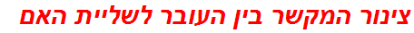 צינור המקשר בין העובר לשליית האם