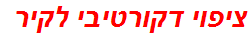 ציפוי דקורטיבי לקיר