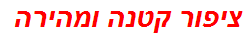 ציפור קטנה ומהירה