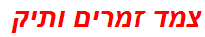 צמד זמרים ותיק