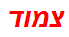 צמוד