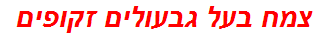 צמח בעל גבעולים זקופים