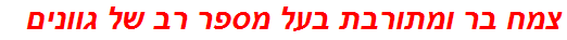 צמח בר ומתורבת בעל מספר רב של גוונים