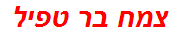 צמח בר טפיל