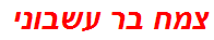 צמח בר עשבוני