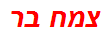 צמח בר