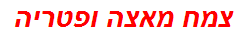 צמח מאצה ופטריה