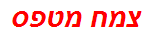 צמח מטפס