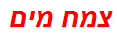 צמח מים